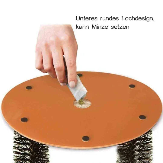 Innovative cat self-care arch offers a relaxing massage & effective shedding solution for pets.