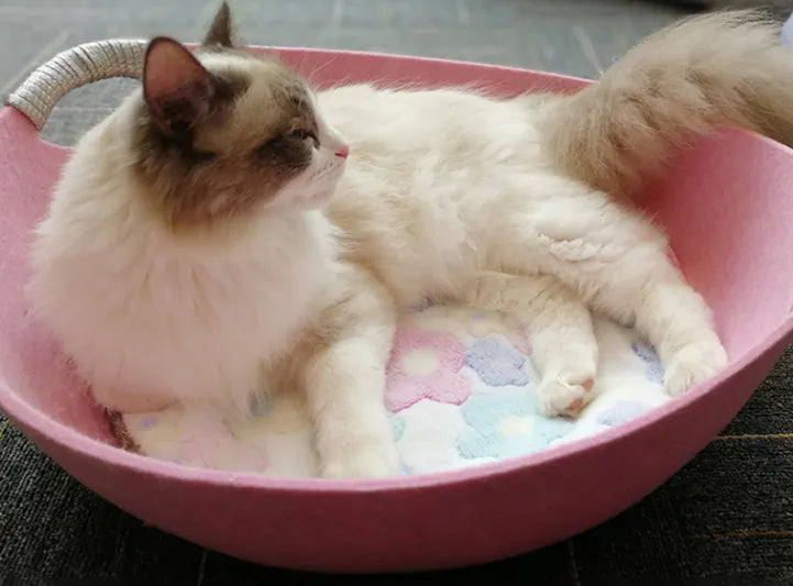 Soft felt cat bed: a warm, cozy basket designed for ultimate pet comfort and feline relaxation.