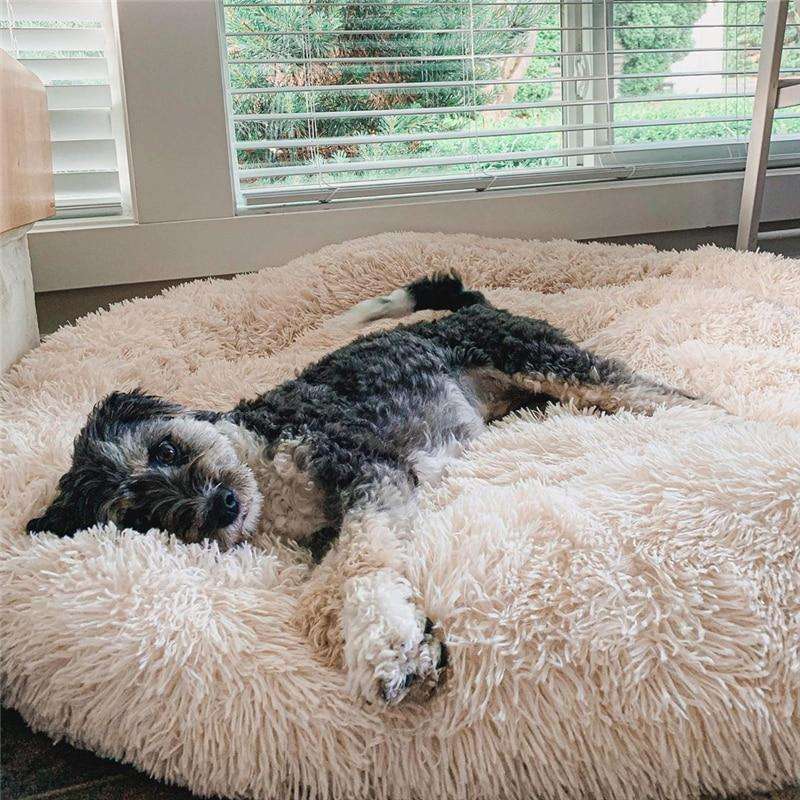 Beige faux fur donut dog bed, ultra-soft & comfortable for small dogs. Washable pet supplies.