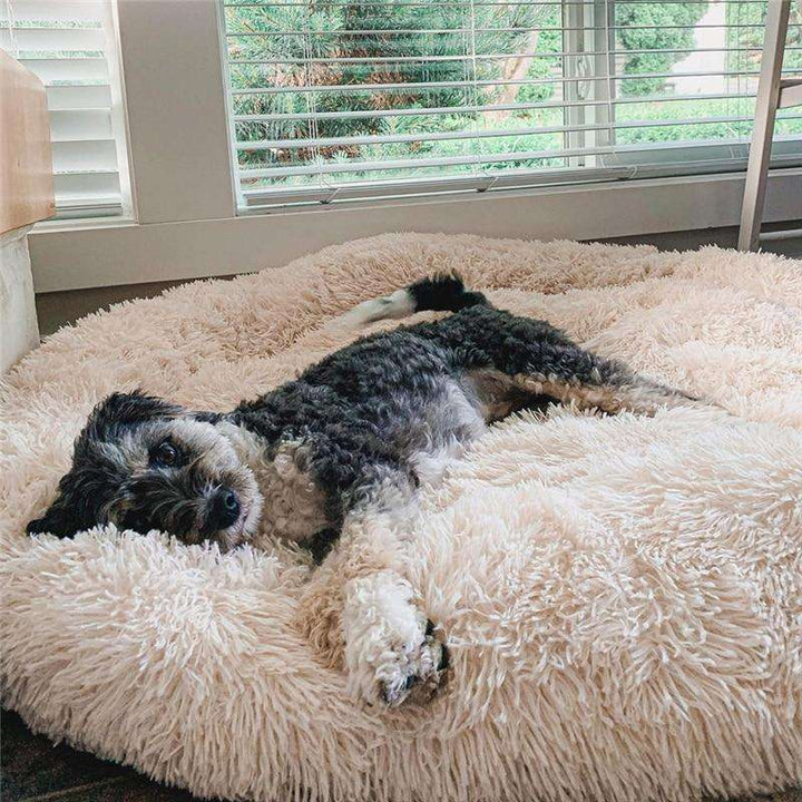 Beige faux fur donut dog bed, ultra-soft & comfortable for small dogs. Washable pet supplies.