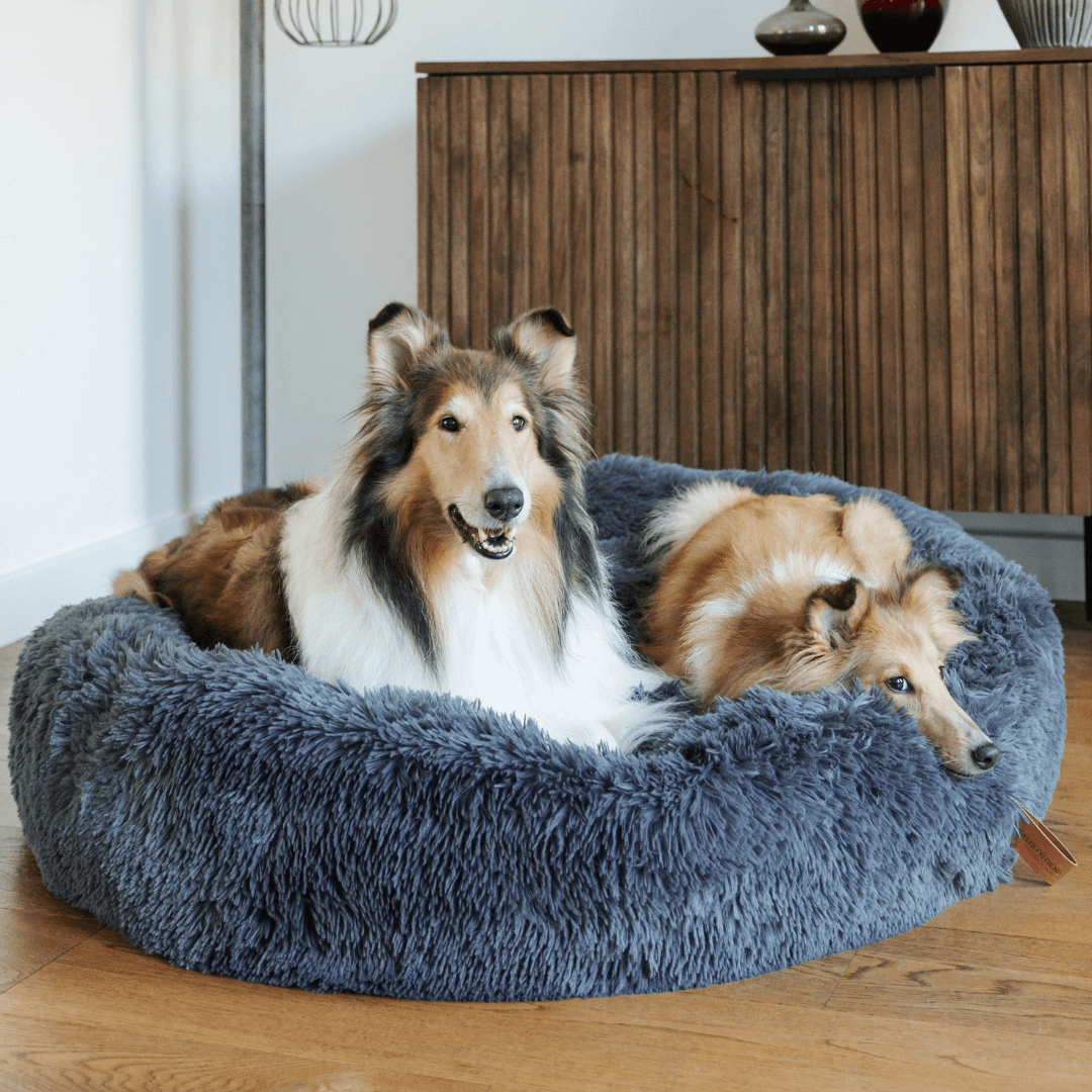 Happy dog sleeping soundly in a cozy, deep sleep calming donut dog bed. Anxiety relief design.