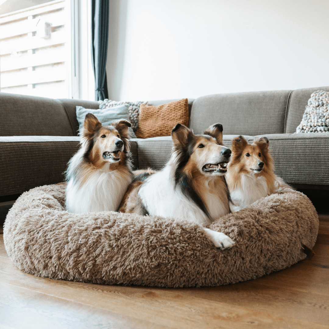 Neutral colored donut dog bed, blends with decor, offers anxiety relief & deep comfort for pets.