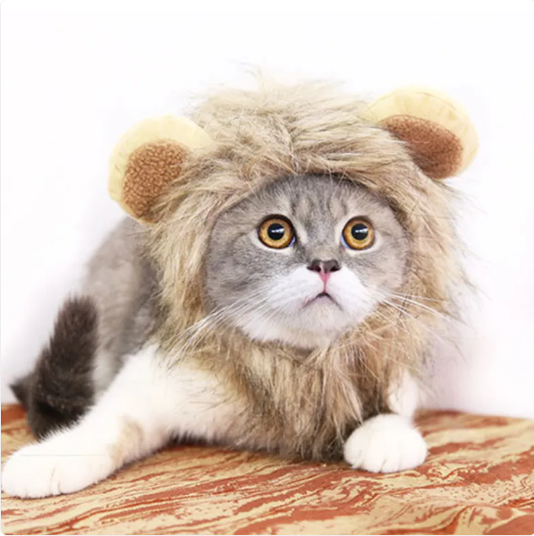 Funny lion mane cat costume, perfect for feline dress-up, pet photos & Halloween. Soft, comfortable animal apparel.