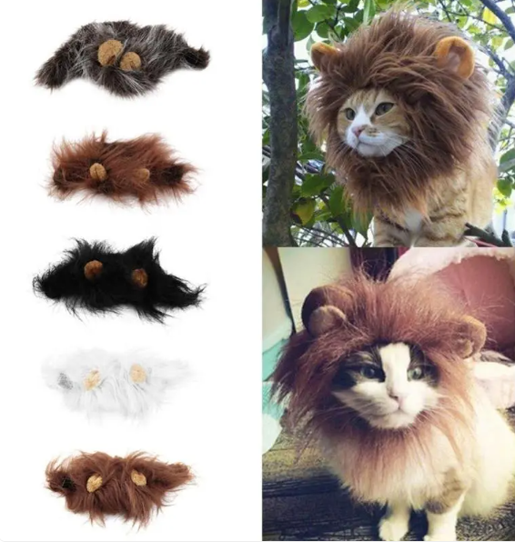 Cute cat in a fuzzy lion mane costume, ideal for funny pet photos, dress-up, and Halloween. Feline accessory.