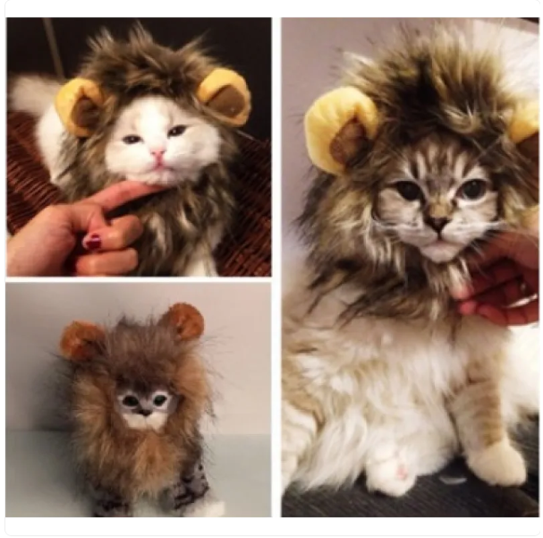 Soft, plush lion mane pet costume for cats. Comfortable feline apparel, great for dress-up, photos & gifts.