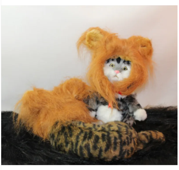 Halloween cat costume: Feline lion mane wig for funny dress-up, pet photos, and animal-themed parties.