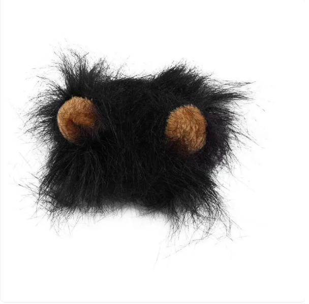 Adorable cat wearing a fluffy lion mane costume, ready for funny pet photos and festive dress-up occasions.