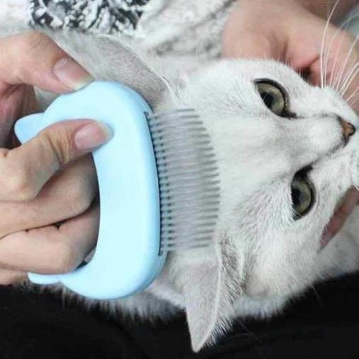 Gentle cat massage and grooming brush for healthy coats, ideal for fur removal and pet care.