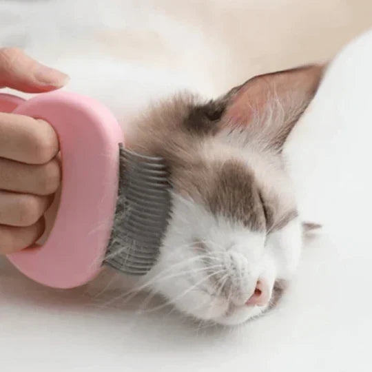 Comfortable pet massage and grooming brush, perfect for detangling and maintaining a healthy cat coat.