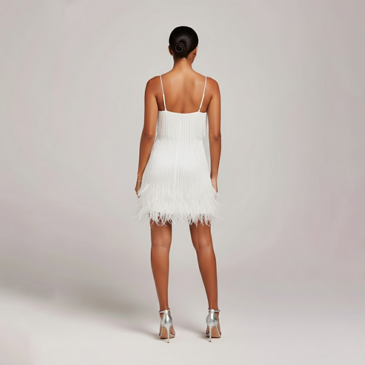 Close-up of the delicate fringe and feather detailing on a women's party mini dress, very glamorous.