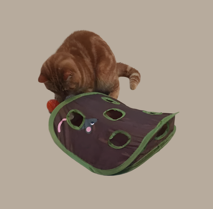 Foldable green cat tent, easy to store, perfect for interactive play & a cozy pet cave for any indoor cat.