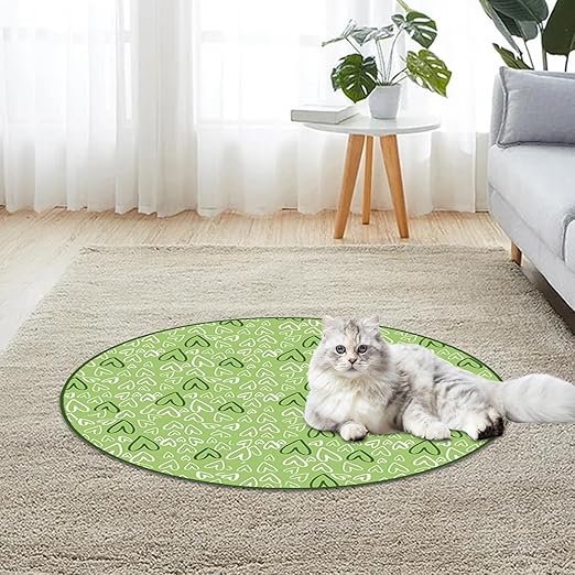 Durable interactive hide-and-seek toy for indoor cats, providing mental enrichment and active play.