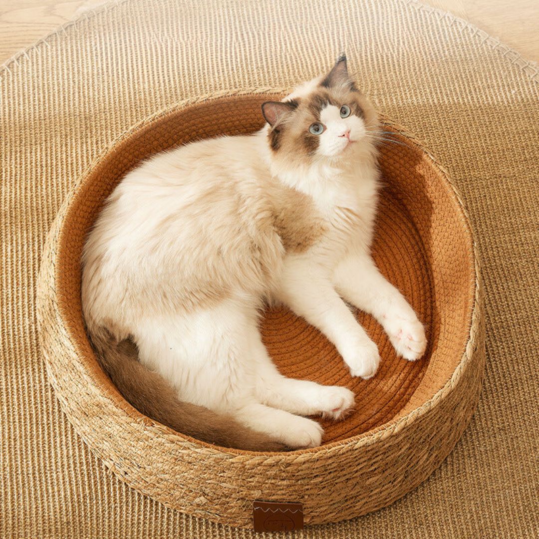 Hand-woven rattan cat scratching bed offers durable comfort for felines. Natural, eco-friendly pet furniture.