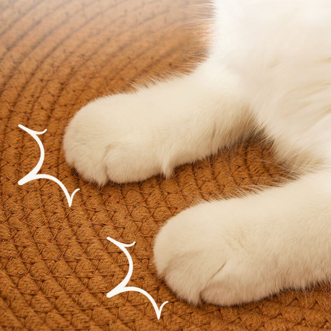 Comfortable handwoven rattan cat bed provides a cozy sleep spot & durable scratching surface for pets.