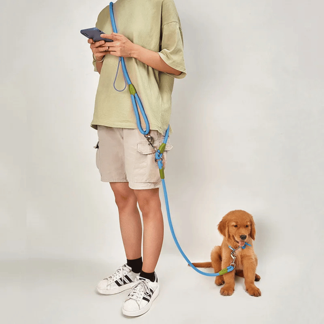 Hands-free reflective dog leash for running with your pet.