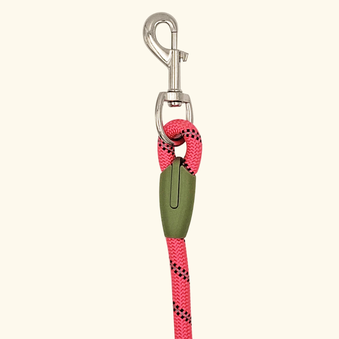 Hands-free reflective dog leash for comfortable running with your companion.