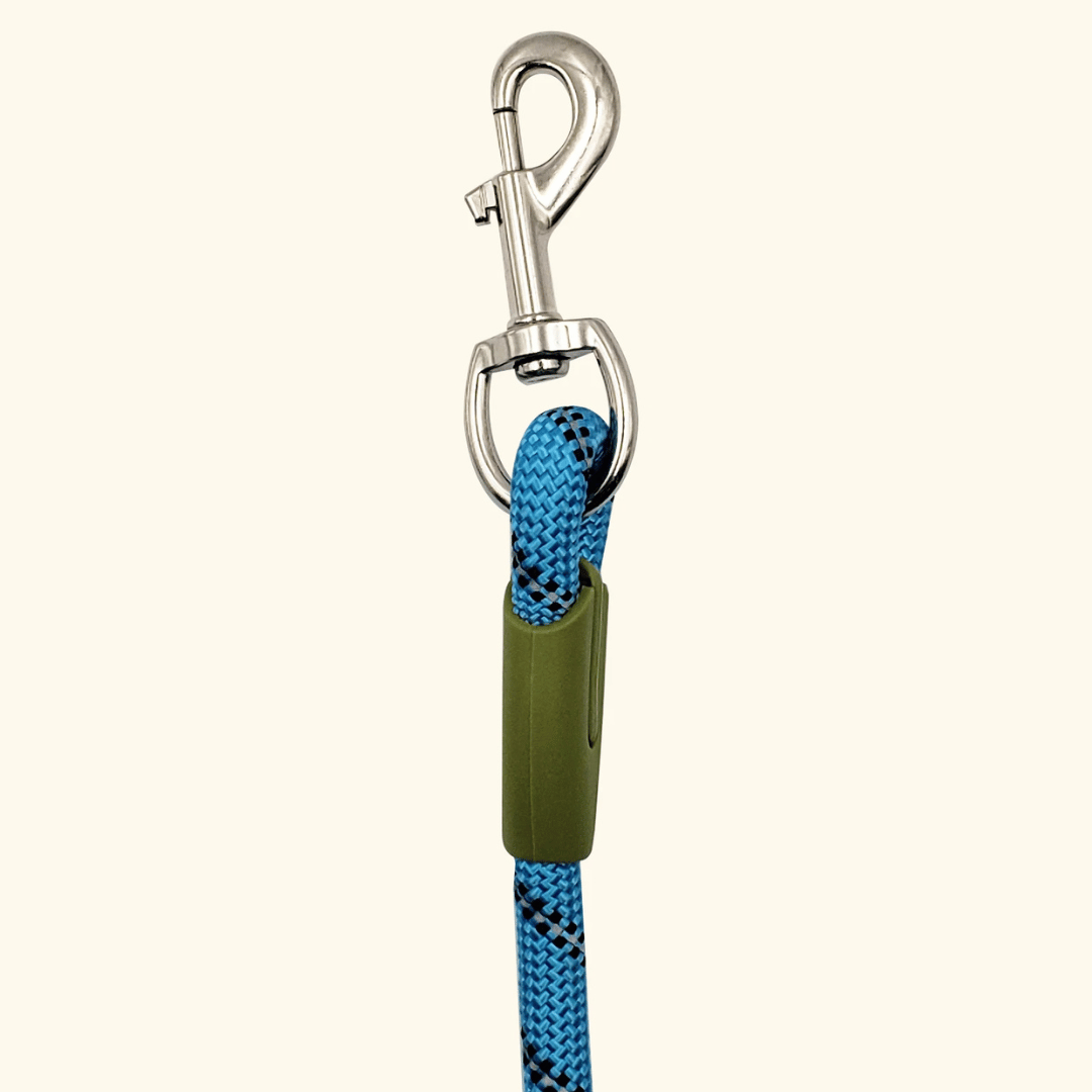 Bungee hands-free dog leash for ultimate comfort during walks and runs.