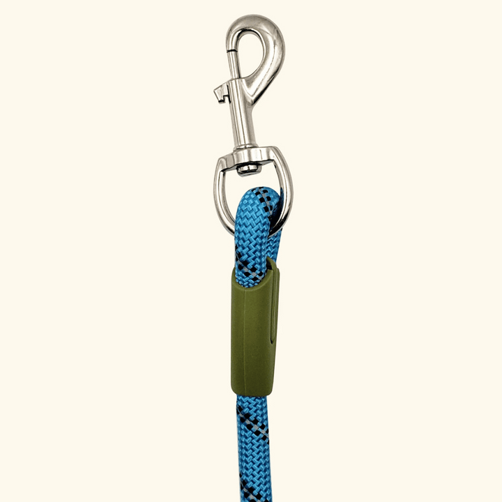 Bungee hands-free dog leash for ultimate comfort during walks and runs.