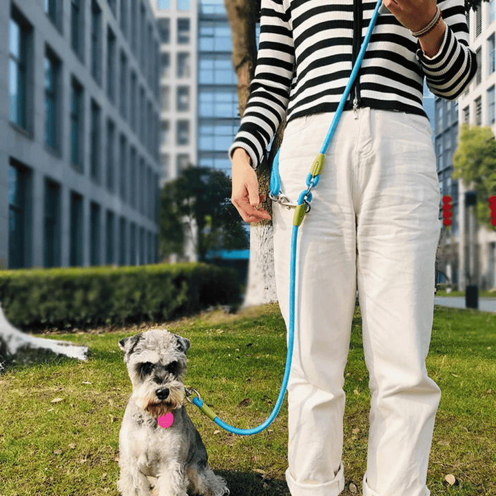 Safety-first reflective dog leash, hands-free for evening walks.