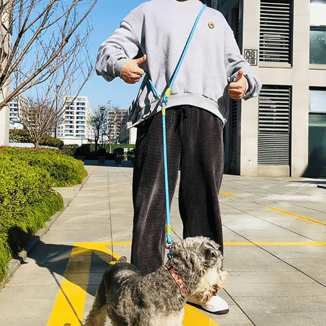 Training dog leash, hands-free and reflective for improved visibility.