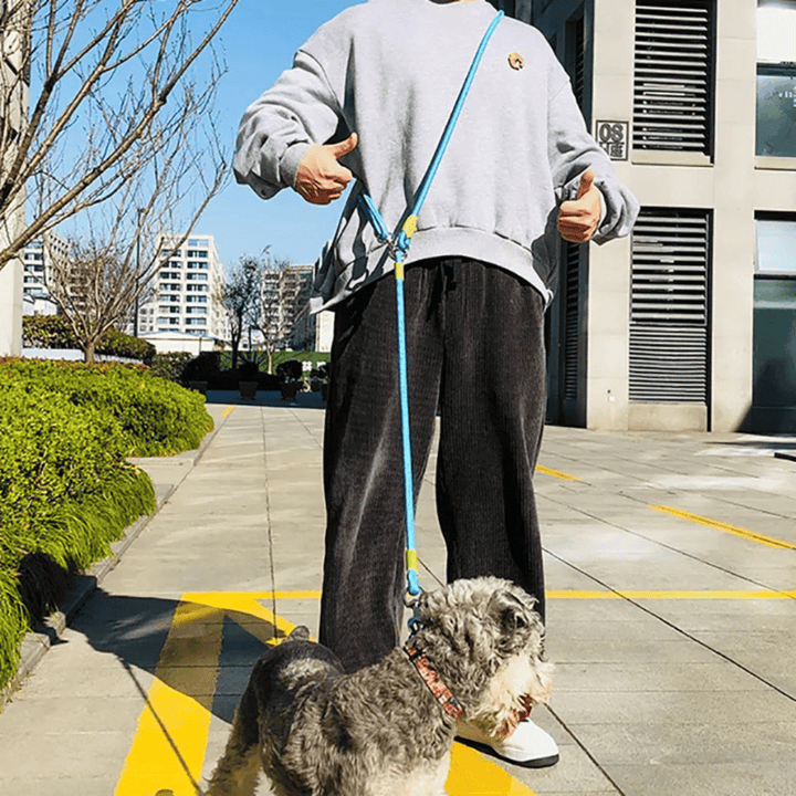 Training dog leash, hands-free and reflective for improved visibility.