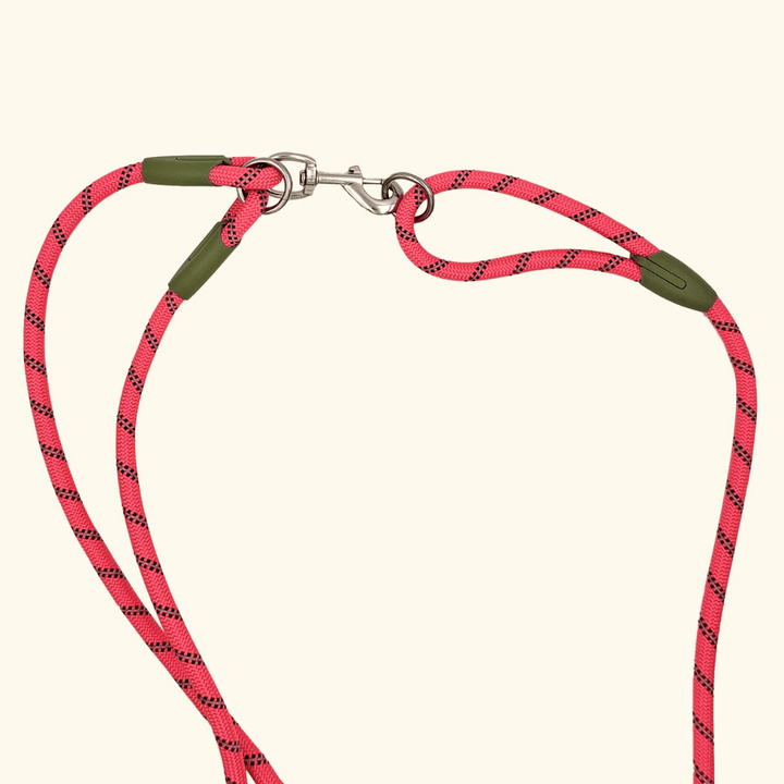 Reflective hands-free dog leash, great for active outdoor adventures.
