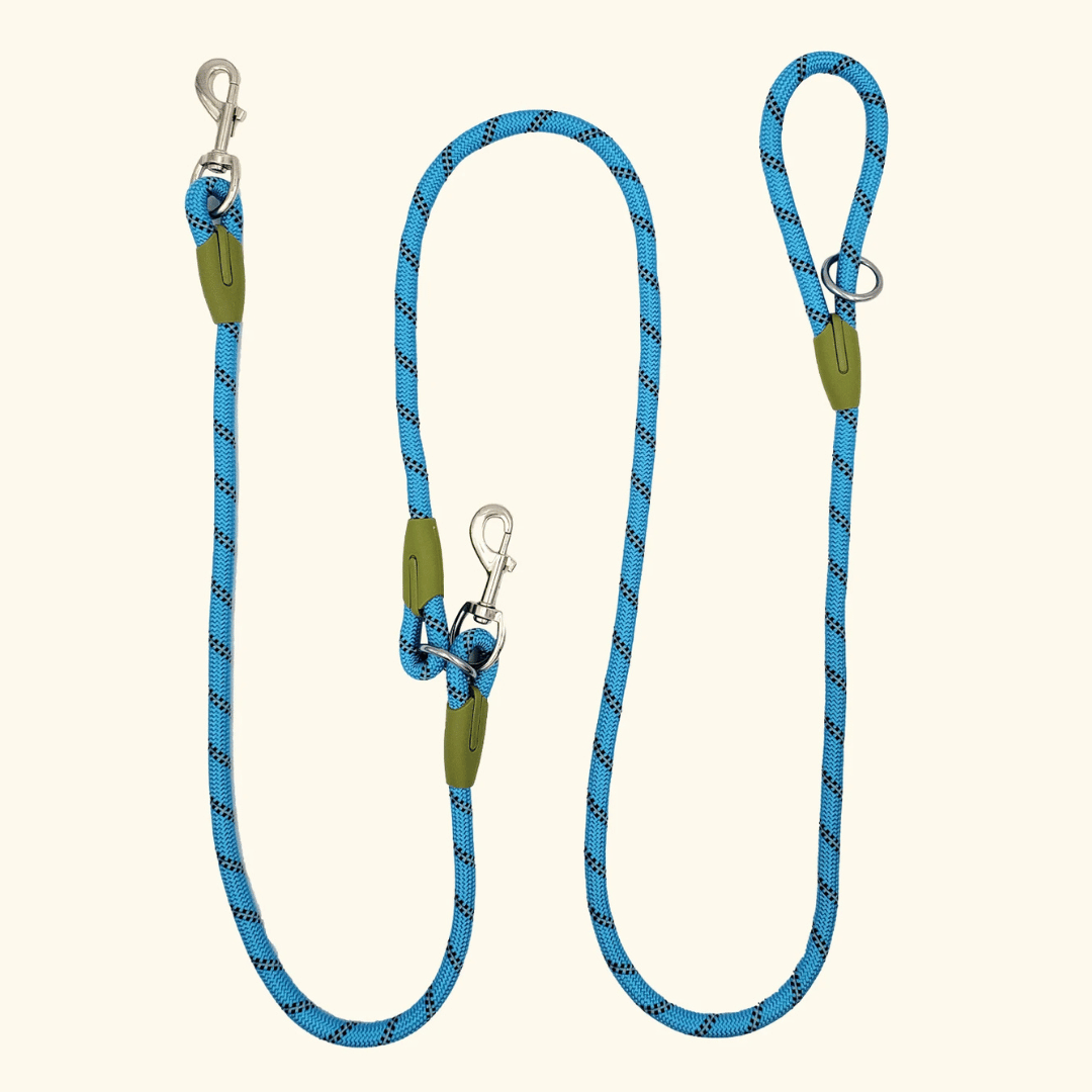 Comfortable hands-free bungee leash for running and walking large dogs.