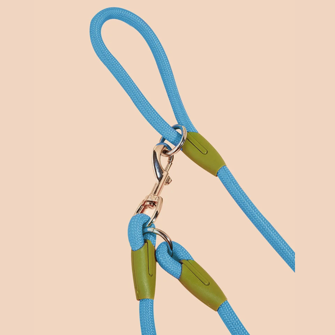 Hands-free dog leash with reflective strips, perfect for running & walking.