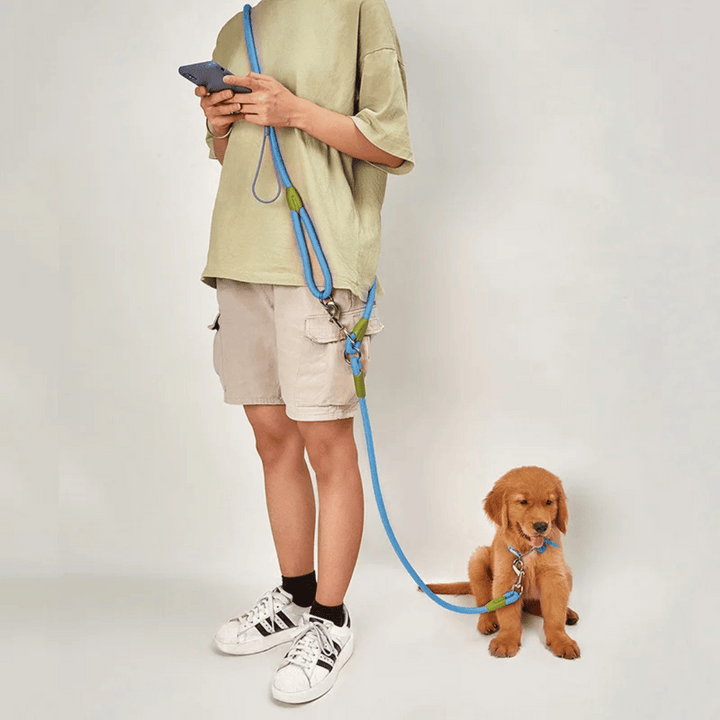 Bungee running leash for large dogs, reflective for safety.