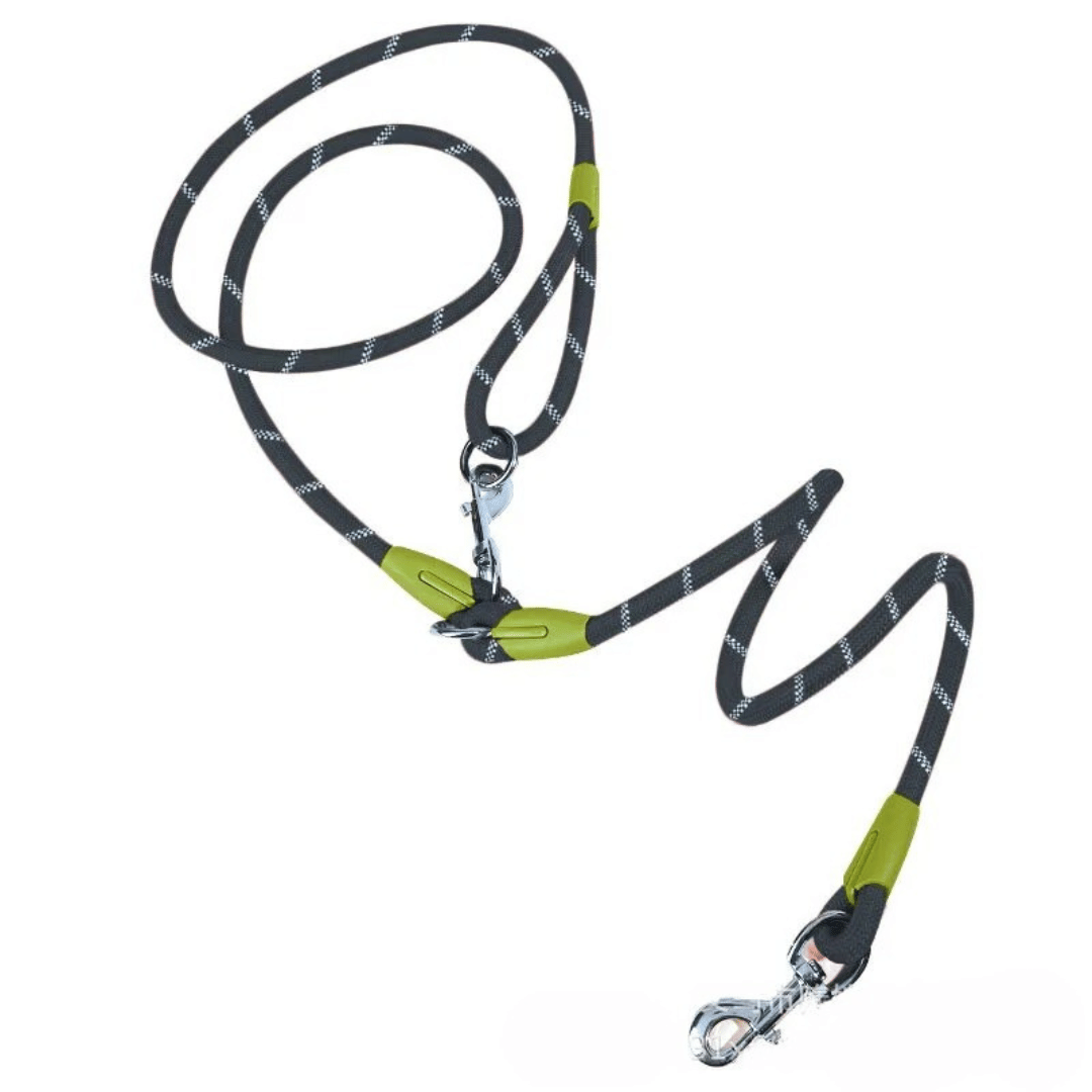 Outdoor hands-free dog leash, perfect for walking and training.