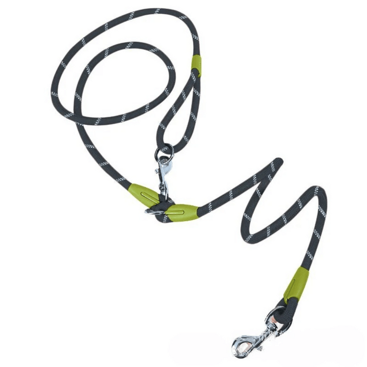 Outdoor hands-free dog leash, perfect for walking and training.