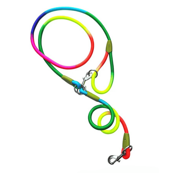 Reflective hands-free running leash for active dog owners.
