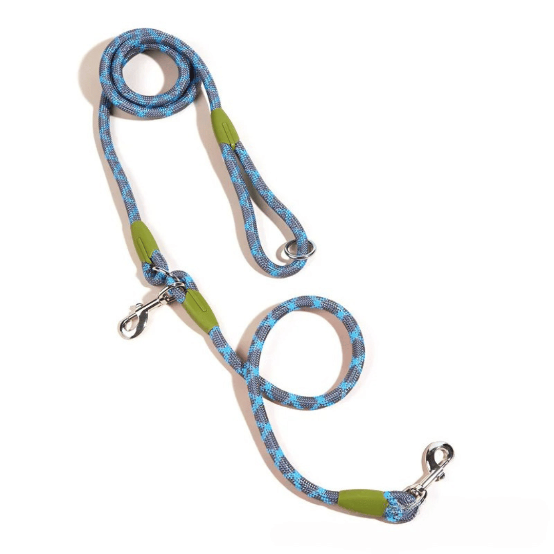 Durable hands-free dog leash with bungee for jogging.
