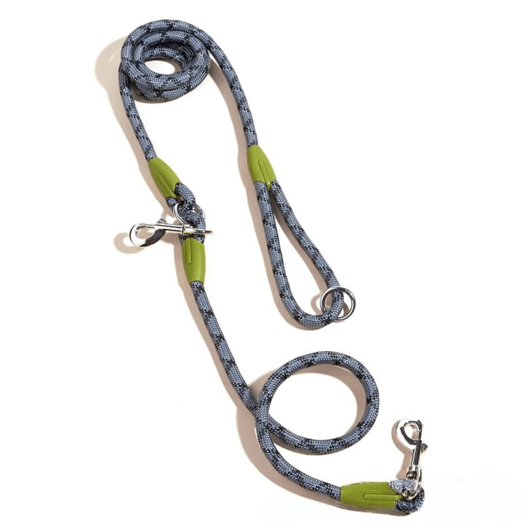 Hands-free bungee leash for large dogs, ideal for running and walking.