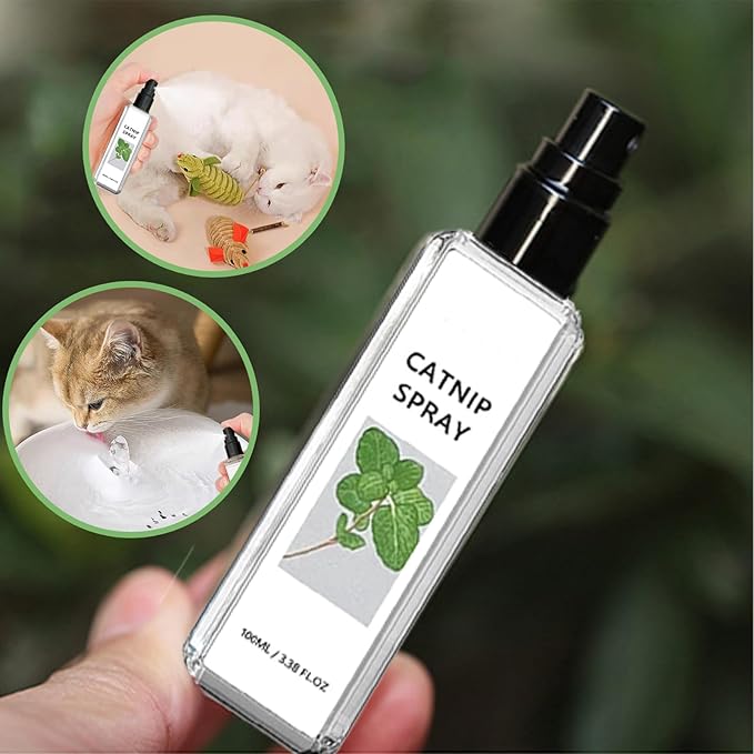 Silvervine cat spray naturally calms anxious cats, promotes feline wellness, & enhances playtime.
