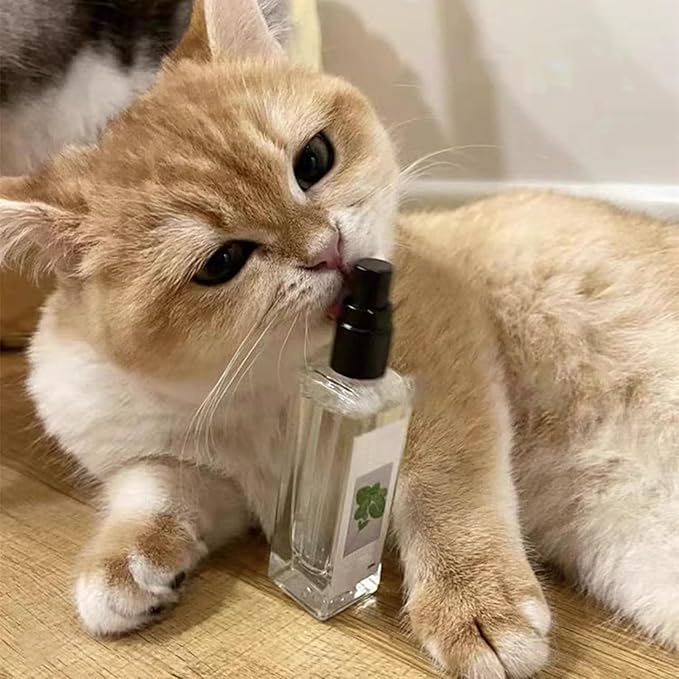 Close-up of Happy & Relaxed Cat Silvervine Spray bottle, a natural pet care product for stress relief.