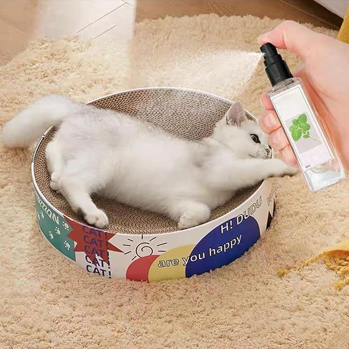 Playful cat interacting with a toy sprayed with natural silvervine to reduce stress & encourage activity.