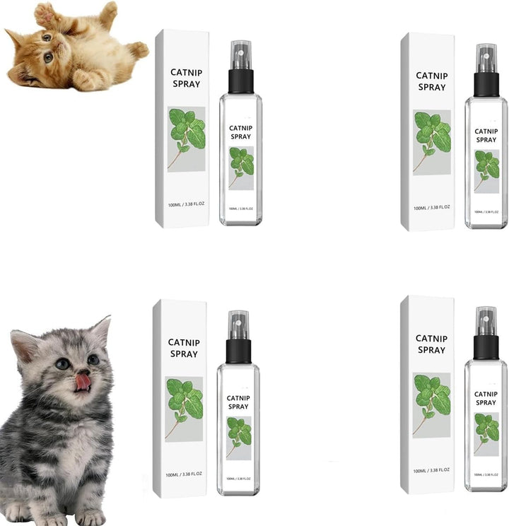 Pet parent spraying silvervine onto a cat scratching post, enhancing play & providing stress relief for cats.