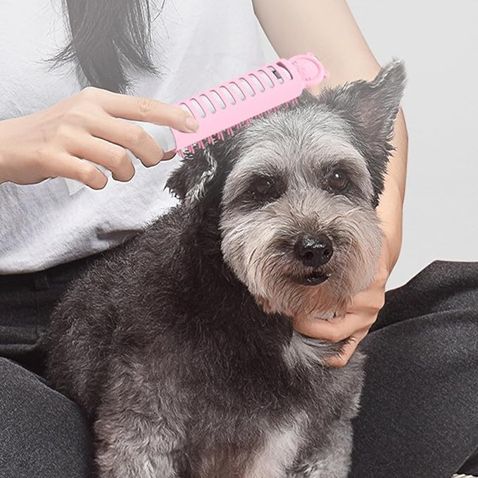Orange cat enjoying a heated electric pet grooming brush. Gentle detangling & soothing coat care for cats.