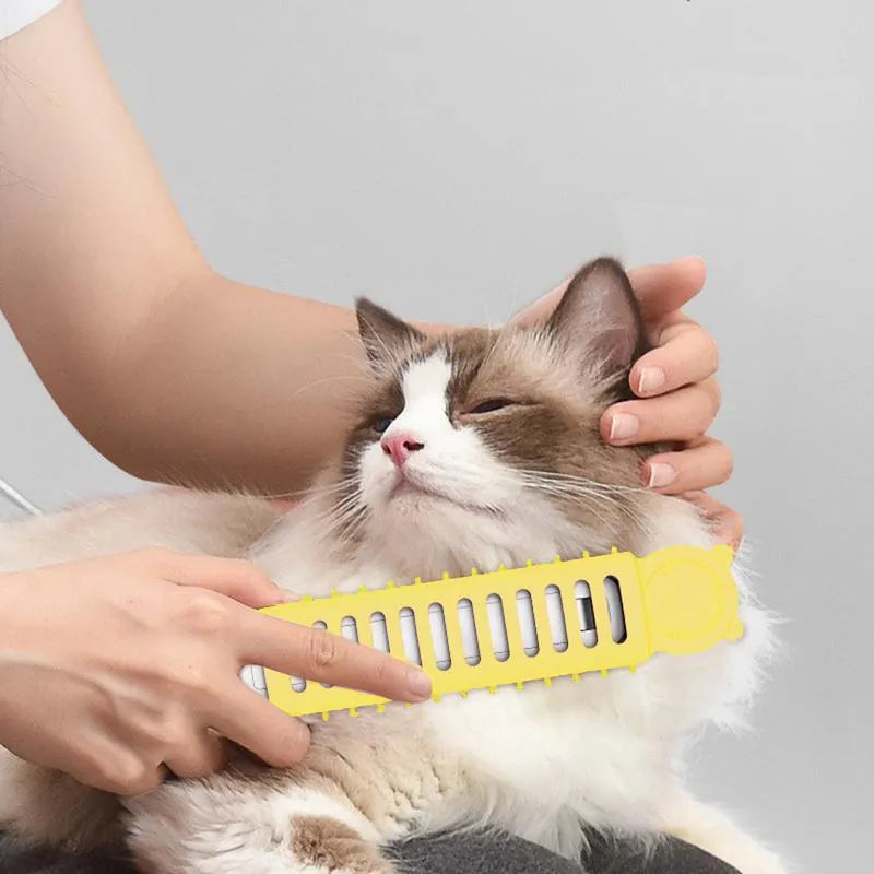 Small dog being groomed with a heated electric pet brush. Efficient dog grooming tool for detangling & pet care.