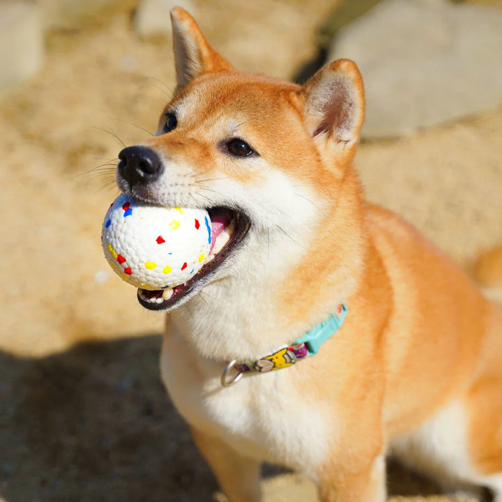 Indestructible rubber dog chew ball for tough chewers, promoting dental health & interactive play. Durable pet toy.
