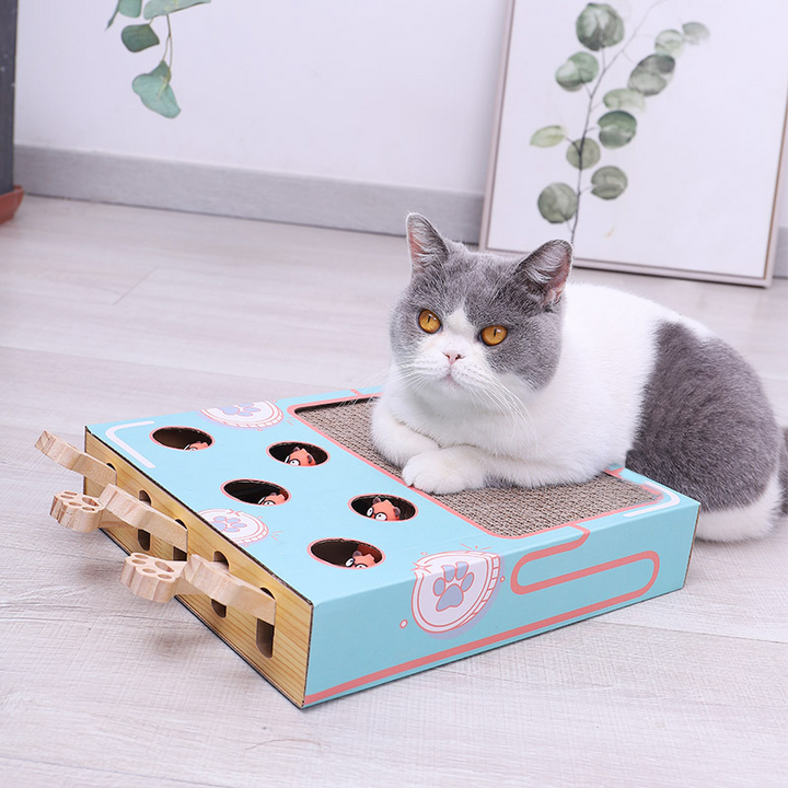 Interactive 3-in-1 cat playground & scratcher with tunnels and dangling toys for feline enrichment & play.