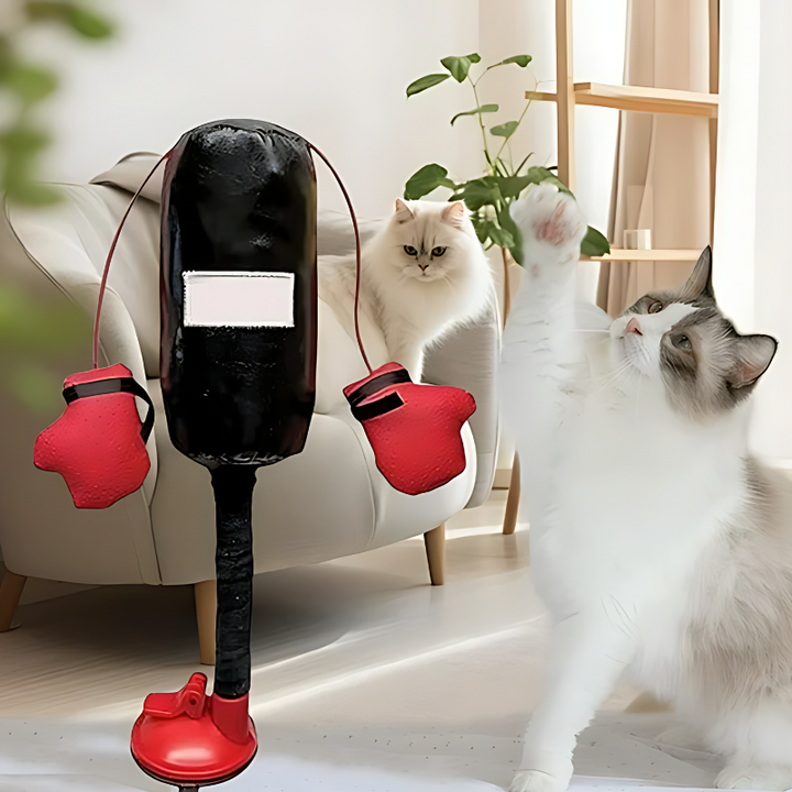 Interactive cat boxing toy for feline activity & mental stimulation. Durable pet play equipment & boredom buster.