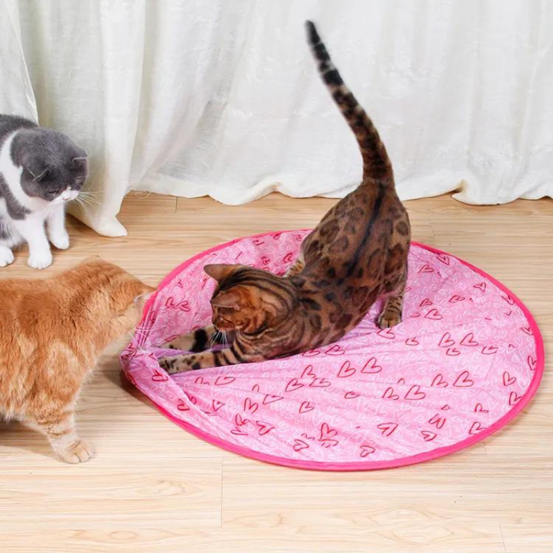 Interactive cat chase toy with moving parts for stimulating feline play and exercise.