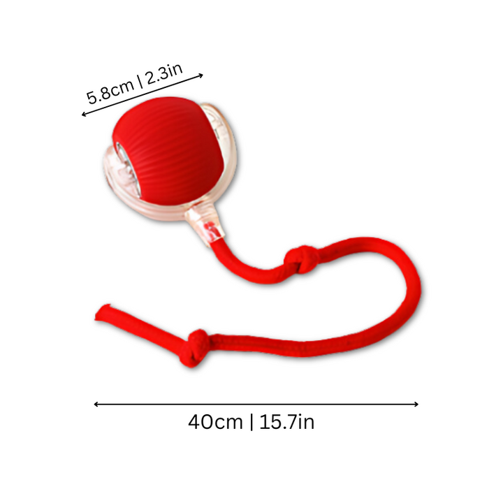 Automatic cat chaser toy with laser pointer for interactive indoor pet exercise & feline enrichment. Durable design.