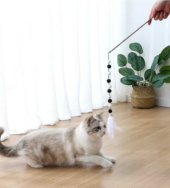 Long-wand cat fishing rod toy with ergonomic handle, bright feathers & soft pom-poms for interactive fun.