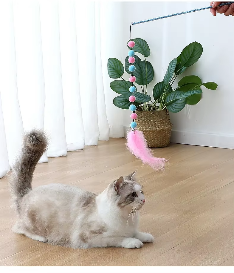 Feline exercise cat toy: interactive fishing rod with feathers & pom-poms, ideal for active kittens.