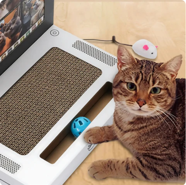 Modern laptop cat scratcher for playful cats, offering a comfortable scratching surface & interactive toy.