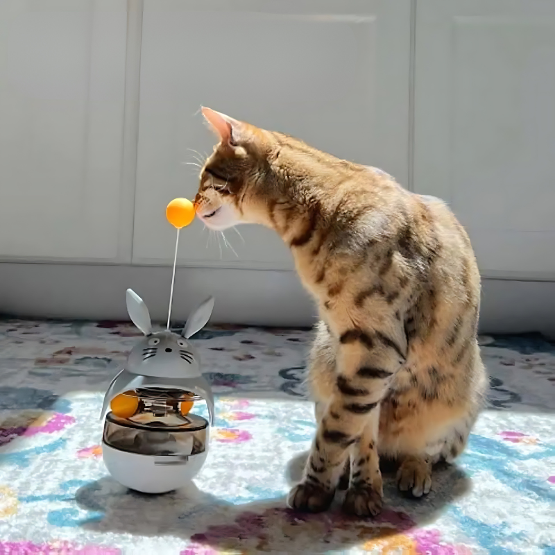 Interactive cat puzzle feeder toy. Dispenses treats, stimulates mental activity, and provides slow feeding enrichment for cats.