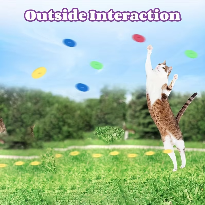 Dynamic interactive cat throwing disc for endless feline fun. A stimulating pet activity & essential cat enrichment.